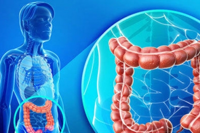 Kolonoskopski pregled donjeg dela gastrointestinalnog trakta
