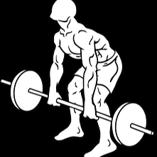 barbell-rear-delt-row-1