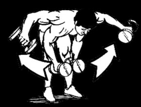 bent_over_lateral_raise_s