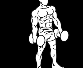 dumbbell-lateral-raises-2