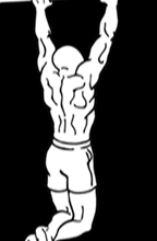 gironda-sternum-chins-2