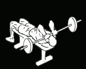 lying-triceps-press-1