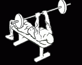 lying-triceps-press-2