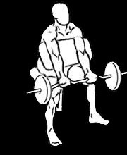 preacher-curl-3-1 1a