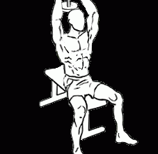 seated-triceps-press-2