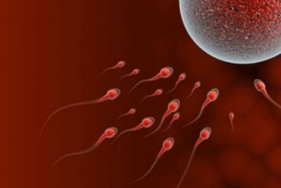 Spermogram i spermokultura u poliklinici LaboMedica | Popust