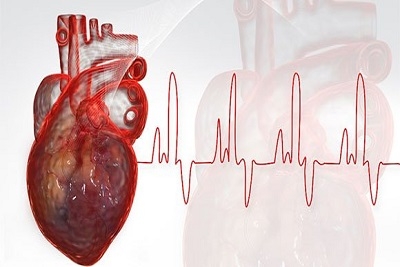 Ultrazvuk srca i EKG zapis sa interpretacijom, Popusti